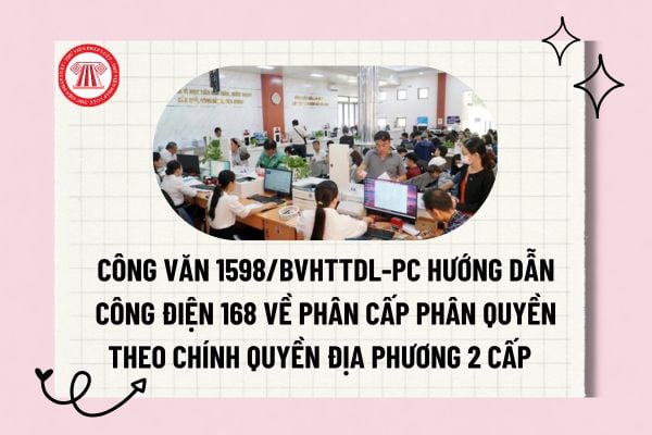 Pháp luật