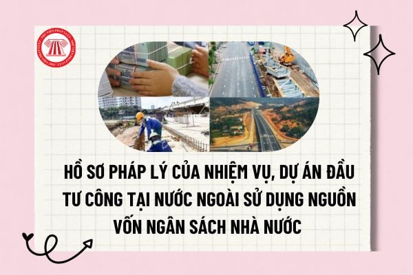 Pháp luật