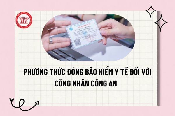 Pháp luật
