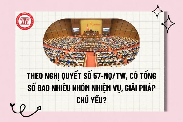 Pháp luật
