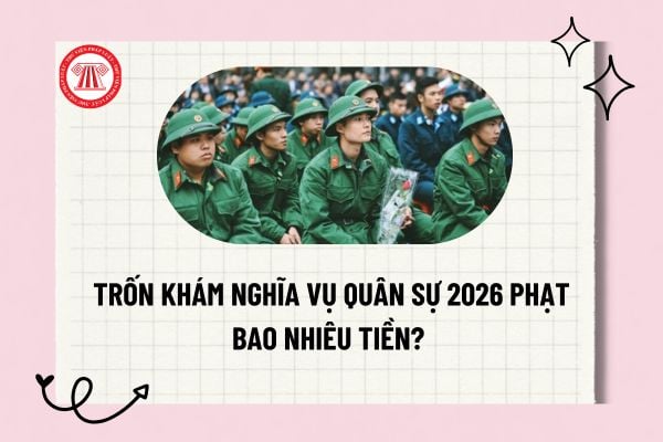 Pháp luật