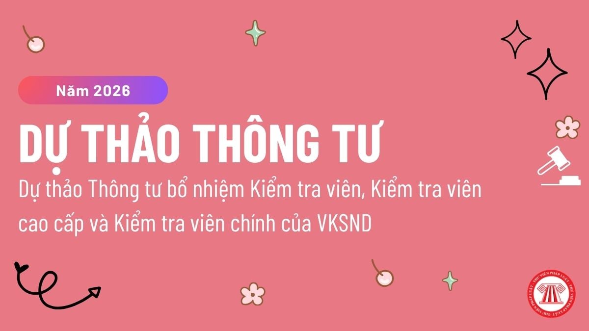 Pháp luật