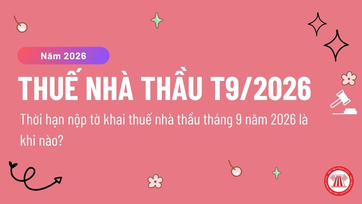 Pháp luật