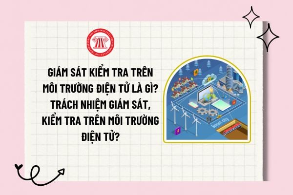 Giám sát kiểm tra trên môi trường điện tử là gì? Trách nhiệm giám sát, kiểm tra trên môi trường điện tử?