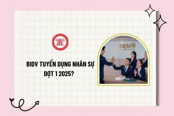 BIDV tuyển dụng nhân sự đợt 1 2025? Yêu cầu ứng tuyển BIDV đợt 1 2025? Thời hạn nhận hồ sơ ứng tuyển BIDV đợt 1 2025?