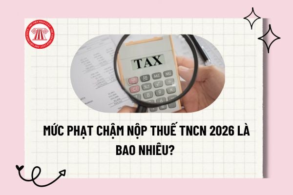Pháp luật