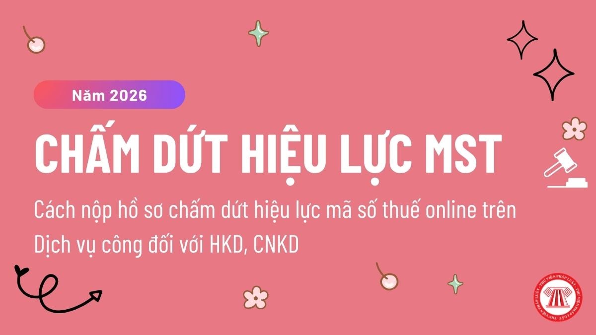 Pháp luật