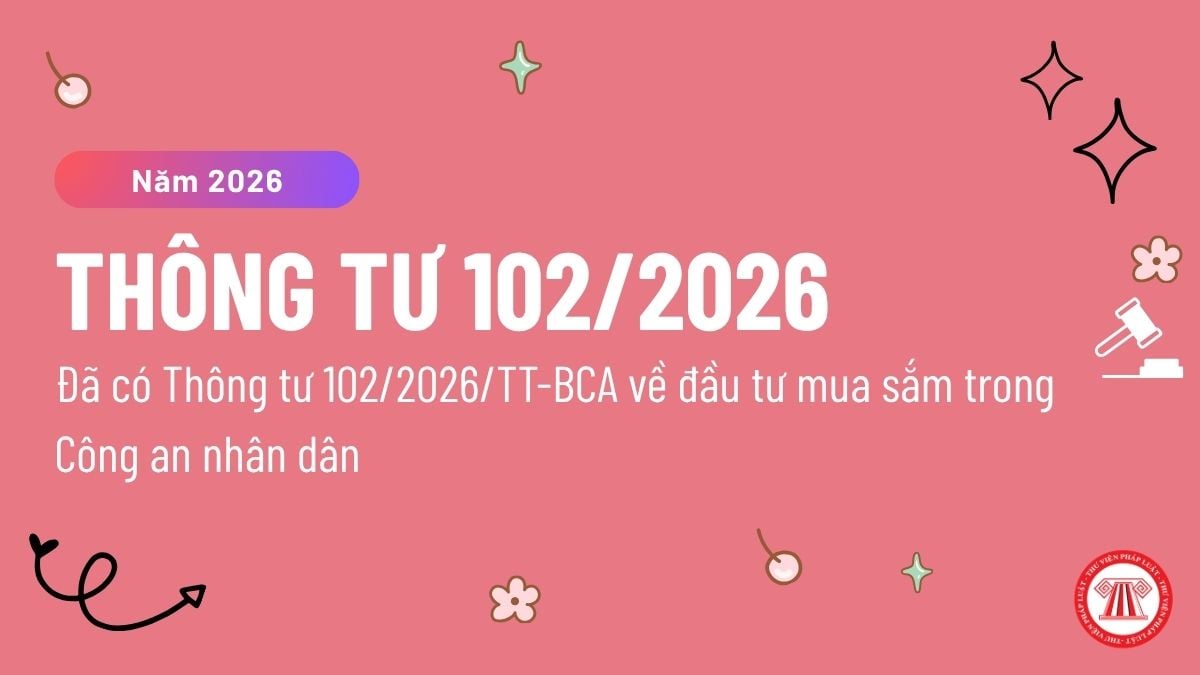 Pháp luật