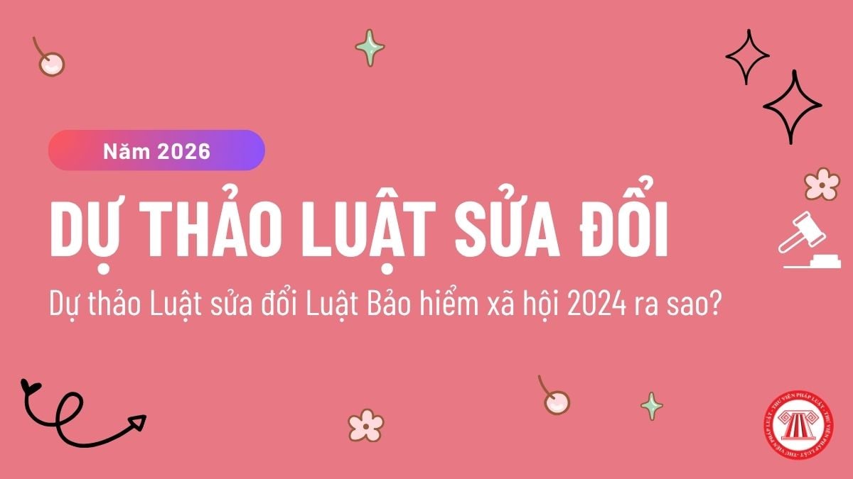 Pháp luật