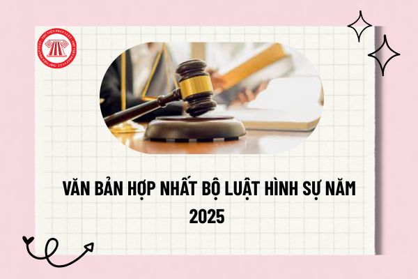 Pháp luật