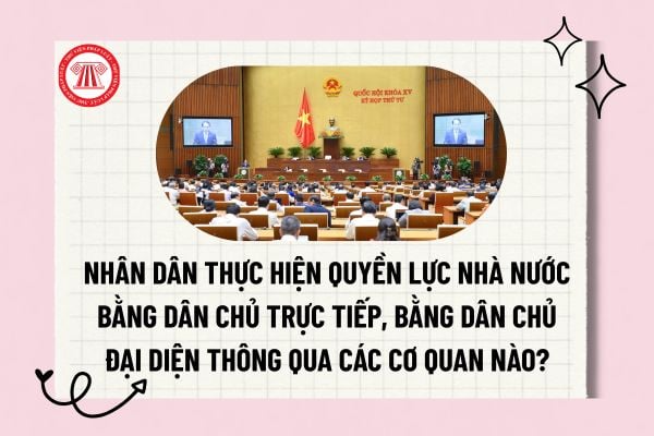 Pháp luật