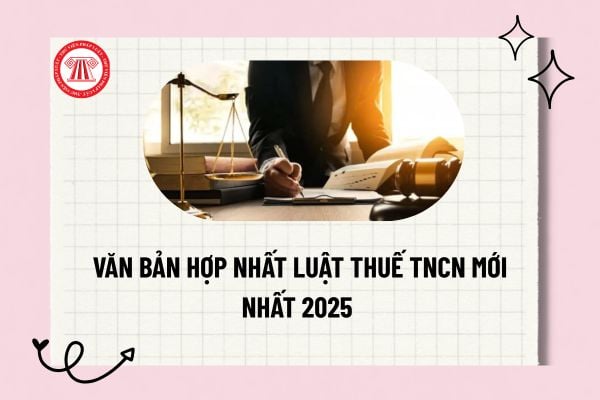 Pháp luật