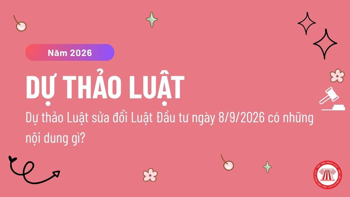 Pháp luật