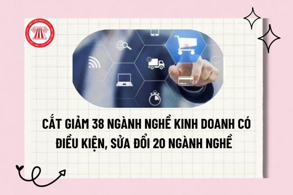 Pháp luật