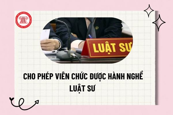 Pháp luật