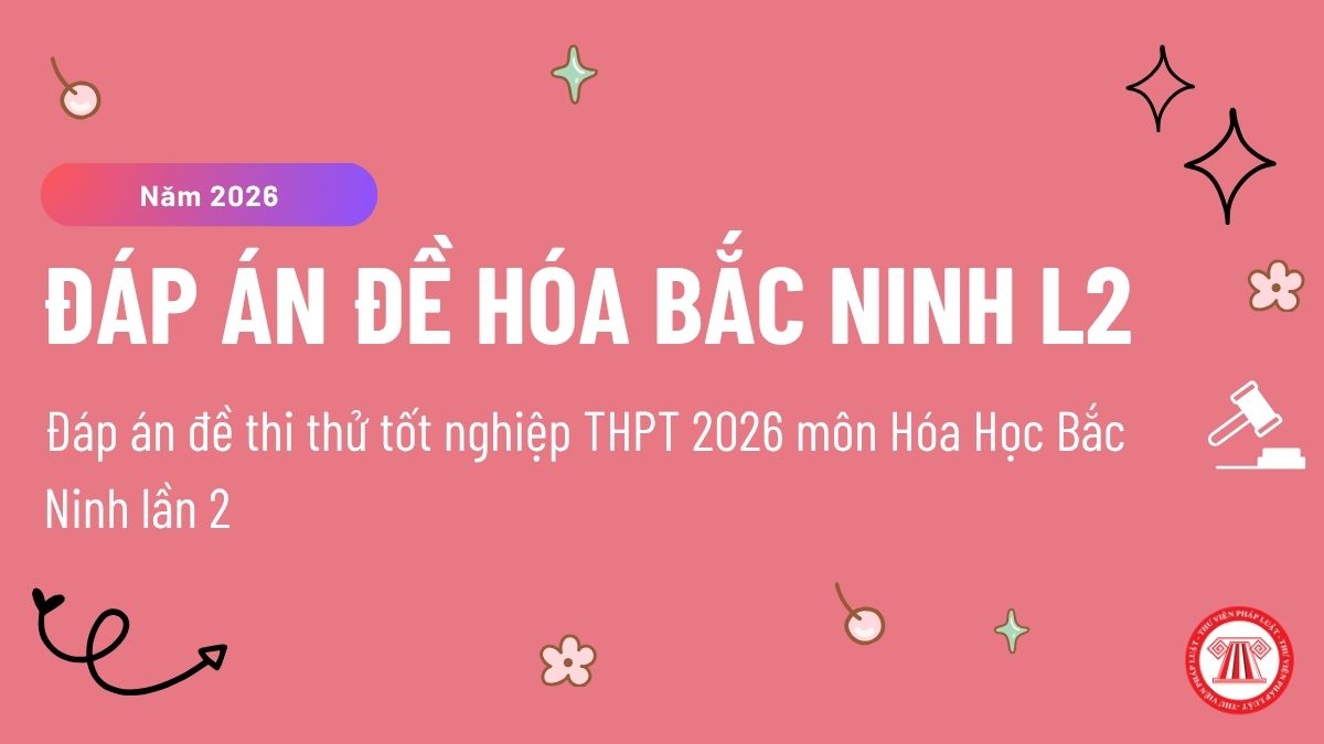Pháp luật