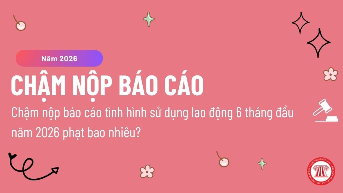 Pháp luật