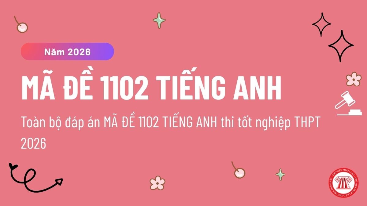 Pháp luật