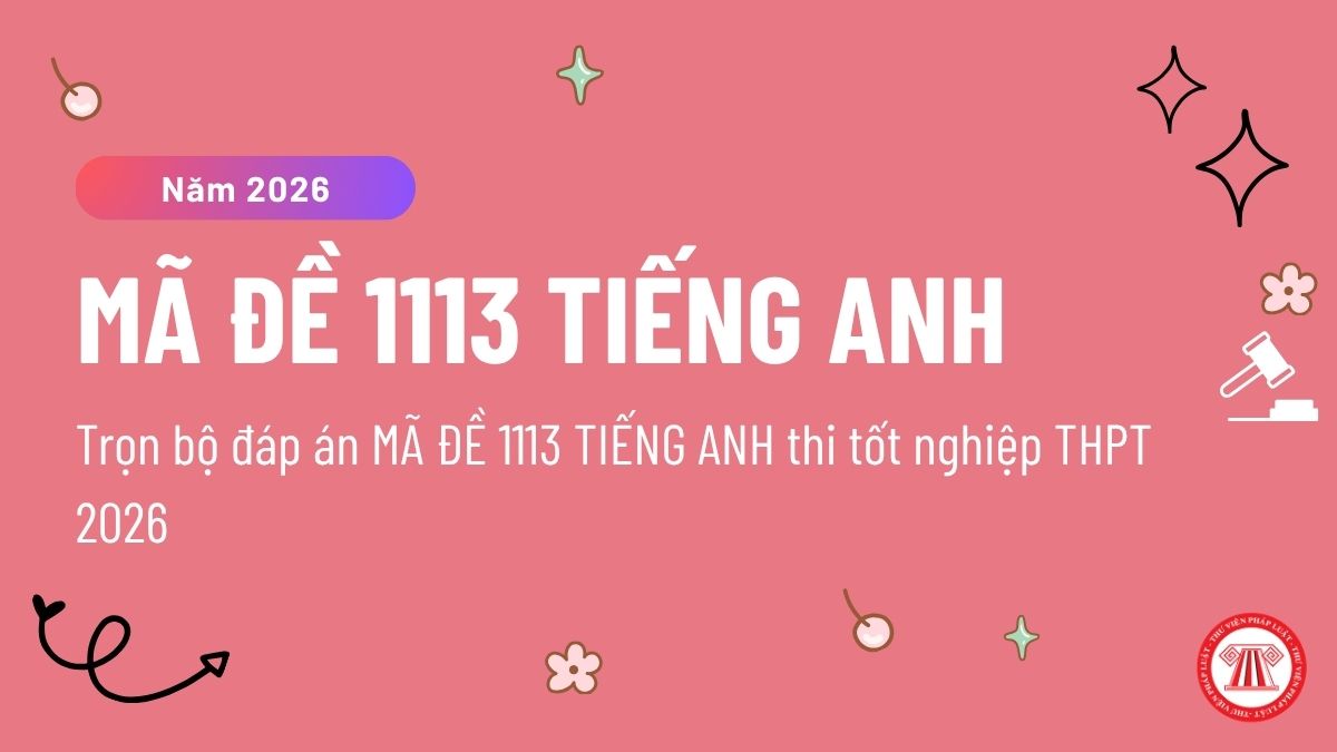 Pháp luật