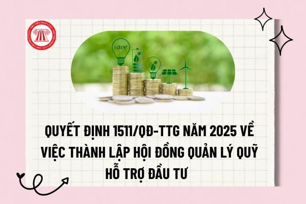 Pháp luật