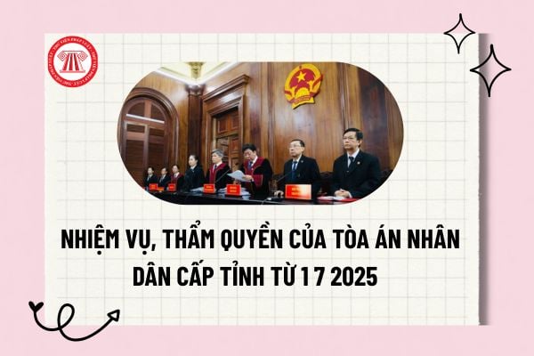 Pháp luật