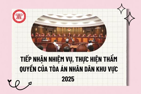 Pháp luật