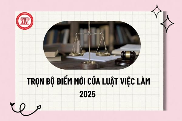 Pháp luật