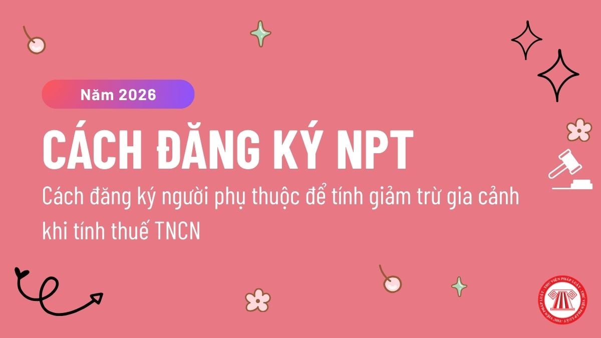 Pháp luật
