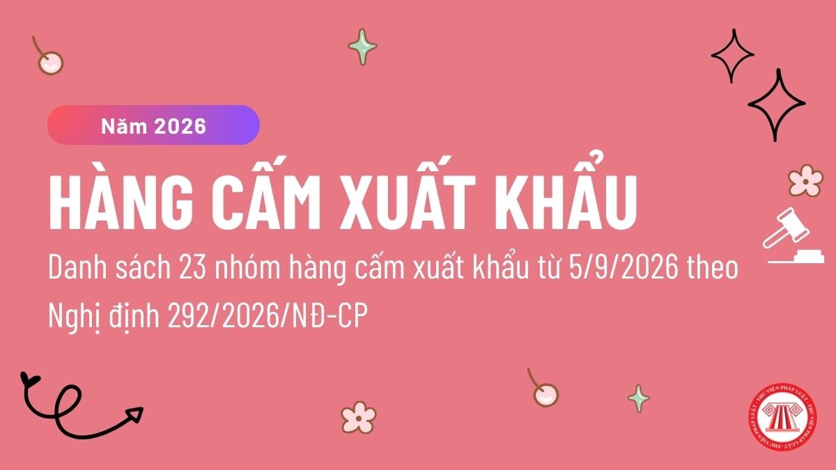 Pháp luật
