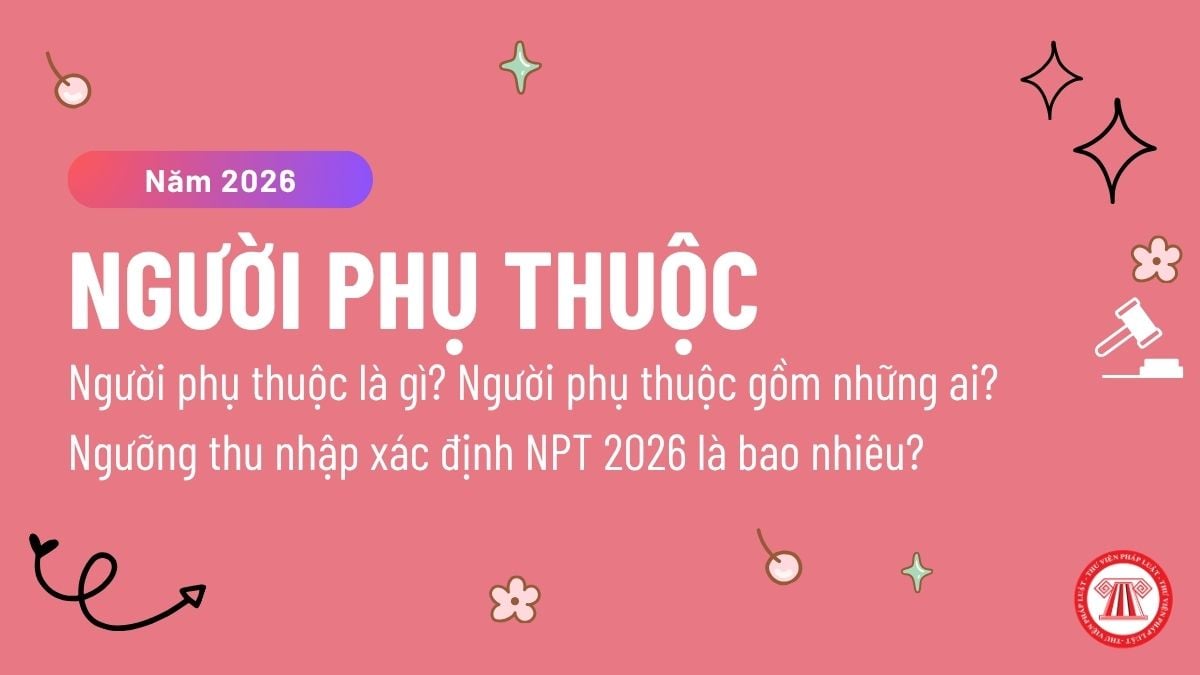Pháp luật