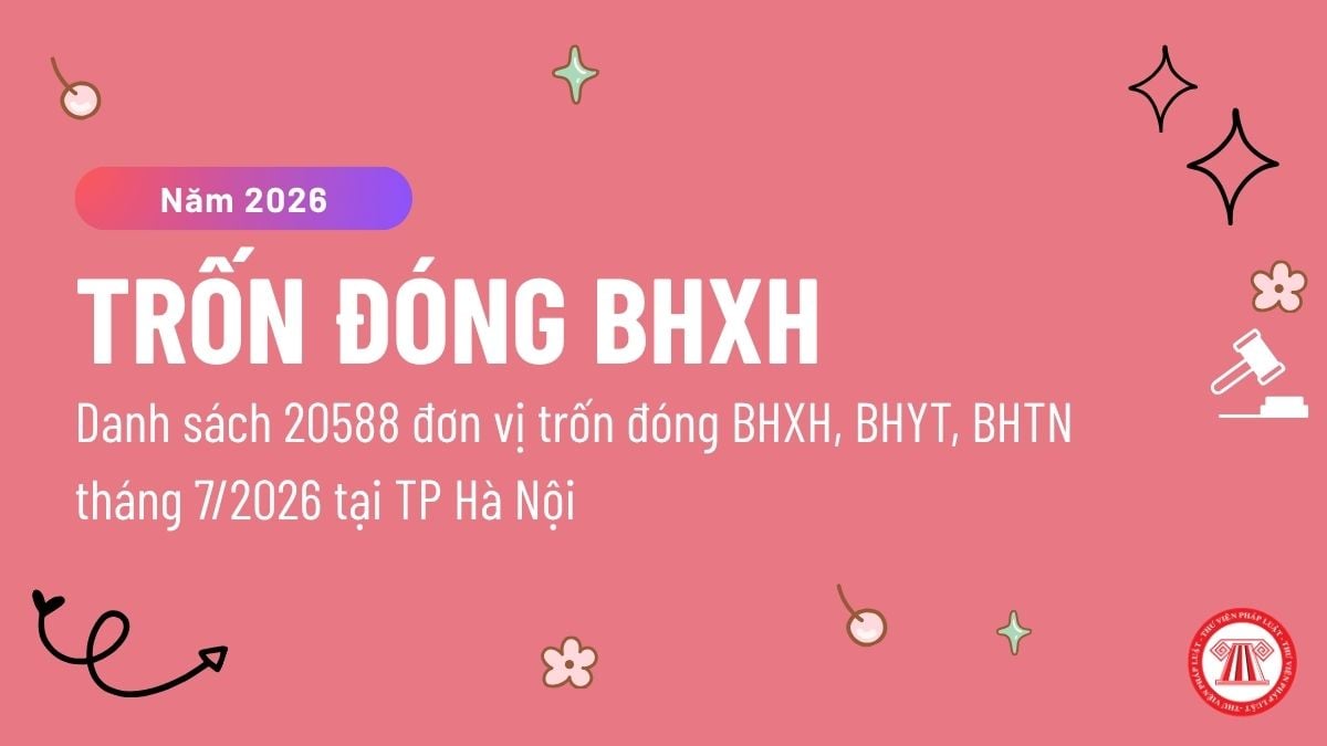Pháp luật