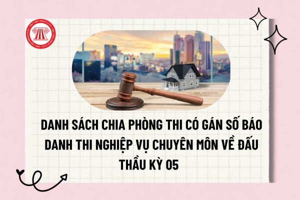 Pháp luật