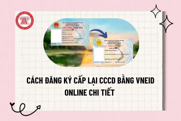 Pháp luật