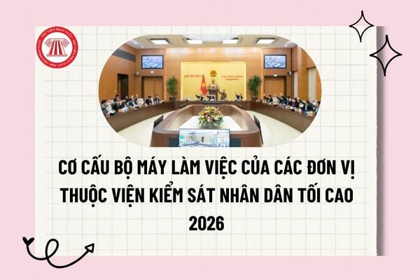 Pháp luật