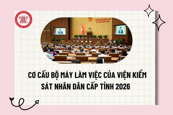 Pháp luật