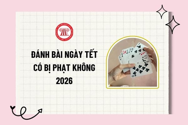 Pháp luật