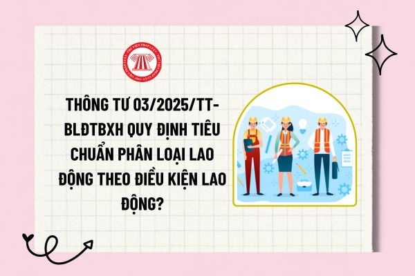 Thông tư 03/2025/TT-BLĐTBXH quy định tiêu chuẩn phân loại lao động theo điều kiện lao động như nào?