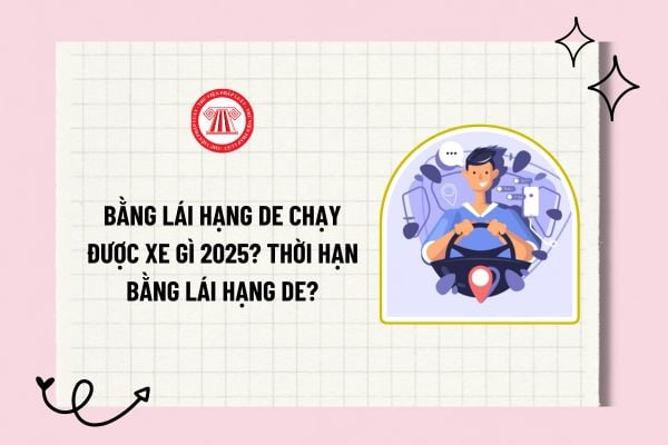 Bằng lái hạng DE chạy được xe gì 2025? Thời hạn bằng lái hạng DE được bao nhiêu năm? Tuổi cấp bằng lái hạng DE? 