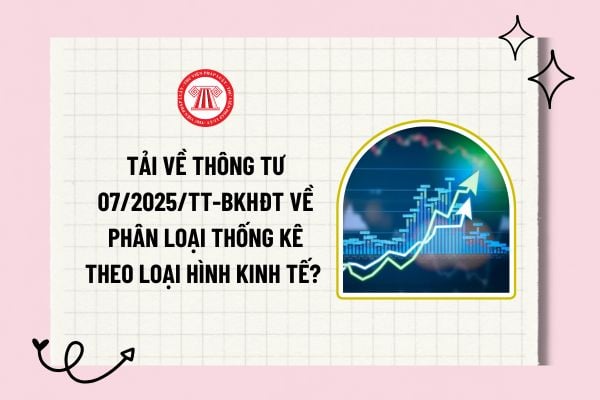 Tải về Thông tư 07/2025/TT-BKHĐT về phân loại thống kê theo loại hình kinh tế? Tải về toàn văn? 