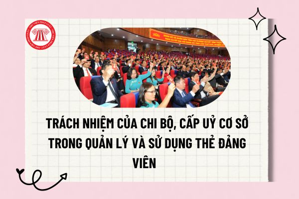 Pháp luật