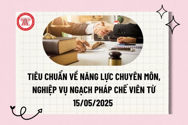 Pháp luật
