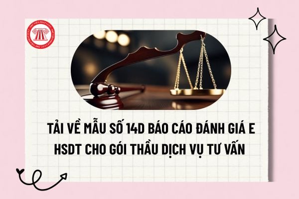 Pháp luật