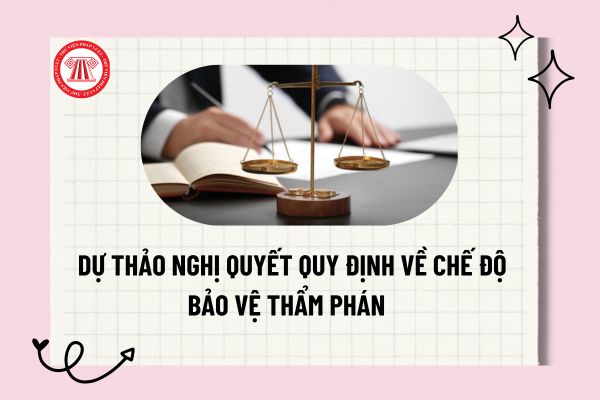 Pháp luật