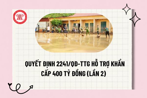 Pháp luật