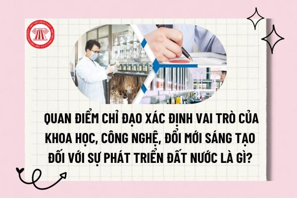 Pháp luật