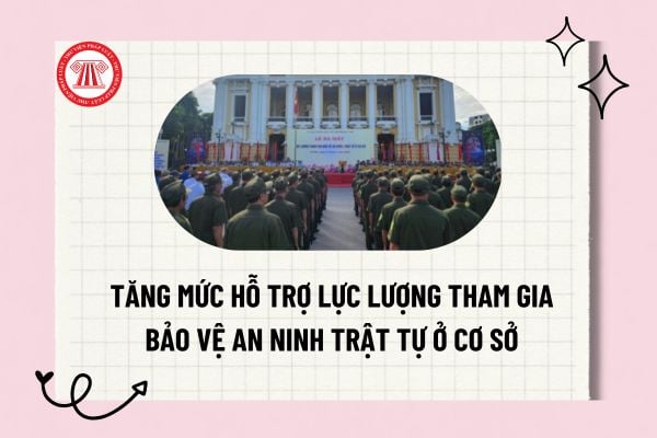 Pháp luật