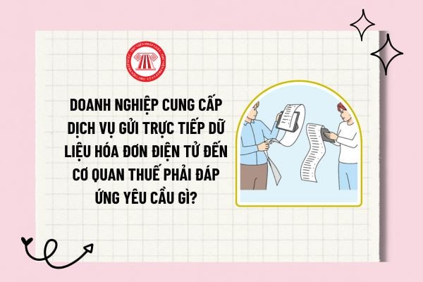 Doanh nghiệp cung cấp dịch vụ gửi trực tiếp dữ liệu hóa đơn điện tử đến cơ quan thuế phải đáp ứng yêu cầu gì?