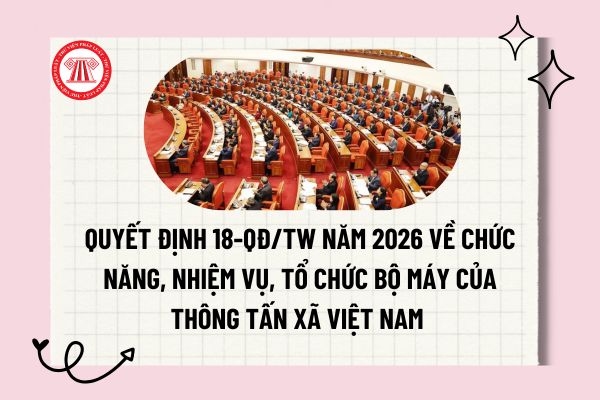Pháp luật