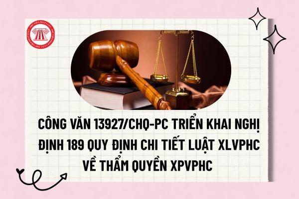 Pháp luật