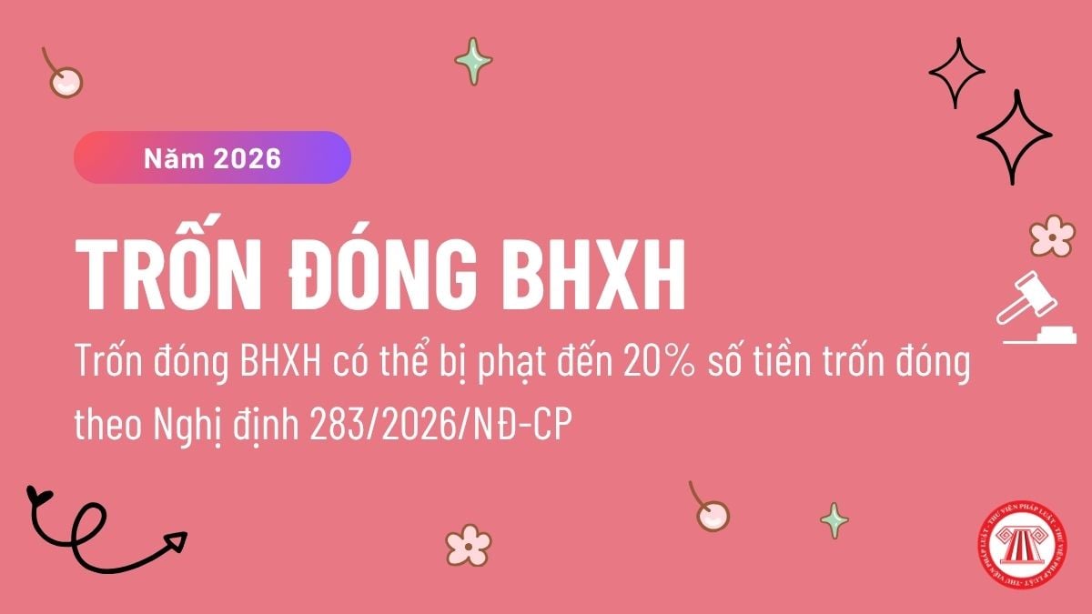 Pháp luật